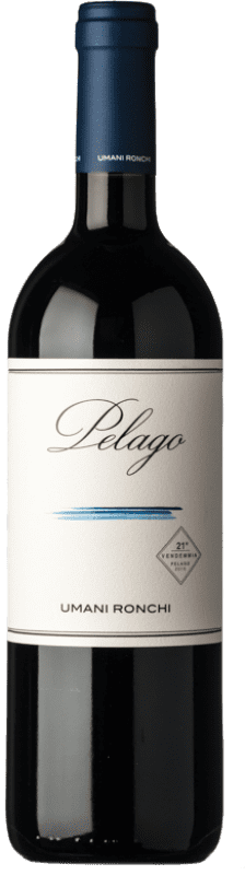 送料無料 | 赤ワイン Umani Ronchi Pelago I.G.T. Marche マルケ イタリア Merlot, Cabernet Sauvignon, Montepulciano 75 cl