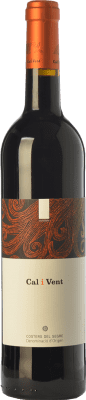Verge del Pla Cal i Vent Costers del Segre молодое 75 cl