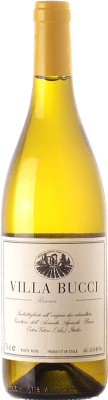 Villa Bucci Classico Verdicchio Castelli di Jesi Verdicchio Riserva Reserve 75 cl
