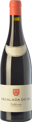 Vinos del Atlántico Escalada do Sil Valdeorras Crianza — Invecchiato in Botte 75 cl