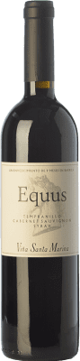 Santa Marina Equus 年轻的