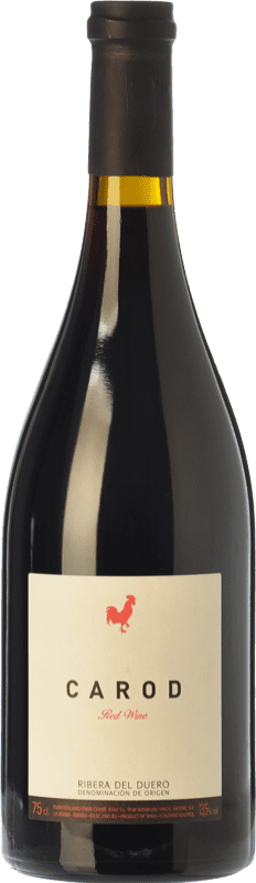 38,95 € Free Shipping | Red wine Viña Sastre Carod Reserva D.O. Ribera del Duero Castilla y León Spain Tempranillo, Merlot, Cabernet Sauvignon Bottle 75 cl