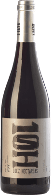 Viñedos de Altura 10H 年轻的