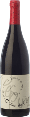 Viñedos do Gabian O Viño do Pepiño Mencía — Менсия Bierzo молодое 75 cl