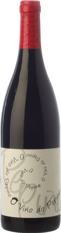 18,95 € | Red wine Viñedos do Gabian O Viño do Pepiño Joven D.O. Bierzo Castilla y León Spain Mencía Bottle 75 cl