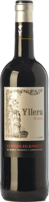 Yllera 12 Meses en Barrica Crianza