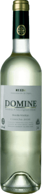 Thesaurus Domine Jovem