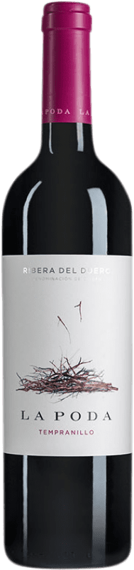 12,95 € Free Shipping | Red wine Palacio La Poda D.O. Ribera del Duero