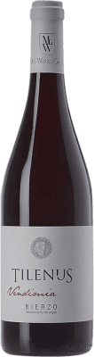 Estefanía Tilenus Vendimia Mencía Bierzo 75 cl