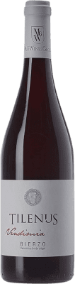 Estefanía Tilenus Vendimia Mencía — Менсия Bierzo 75 cl