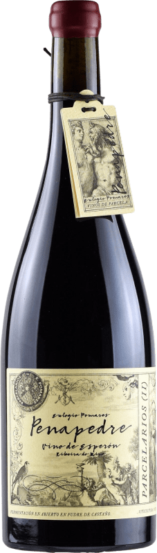 24,95 € | Red wine Zárate Penapedre D.O. Ribeira Sacra Galicia Spain Mencía, Grenache Tintorera Bottle 75 cl
