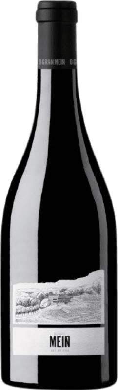 48,95 € | Red wine Viña Meín O Gran Meín Tinto D.O. Ribeiro Galicia Spain Caíño Black, Brancellao Bottle 75 cl