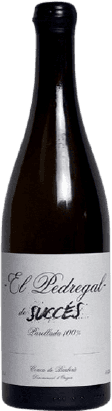 25,95 € | White wine Succés El Pedregal D.O. Conca de Barberà Catalonia Spain Parellada Bottle 75 cl