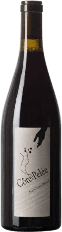 送料無料 | 赤ワイン Jean-Yves Péron Côte Pelée Savoia フランス Mondeuse 75 cl