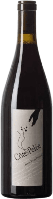 Free Shipping | Red wine Jean-Yves Péron Côte Pelée Savoia France Mondeuse 75 cl