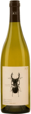 Andreas Tscheppe Stag Beetle Macerated Organic 75 cl