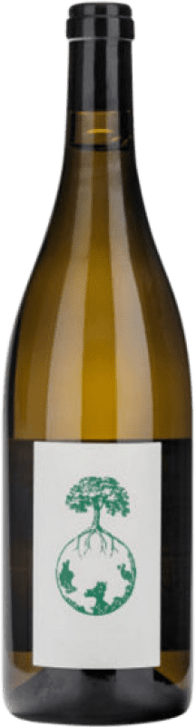 Envoi gratuit | Vin blanc Werlitsch Vom Opok Estiria Autriche Sauvignon Blanc Biologique 75 cl