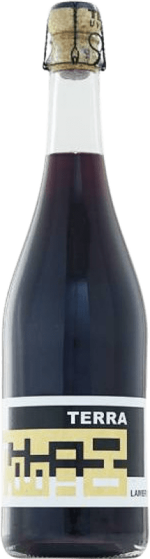 Envío gratis | Espumoso blanco Terre Base Terra Lambrusco dell 'Emilia Emilia-Romagna Italia Lambrusco Salamino 75 cl