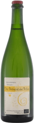 Mirebeau Bruno Rochard des Boires et des Bulles Chenin White 75 cl