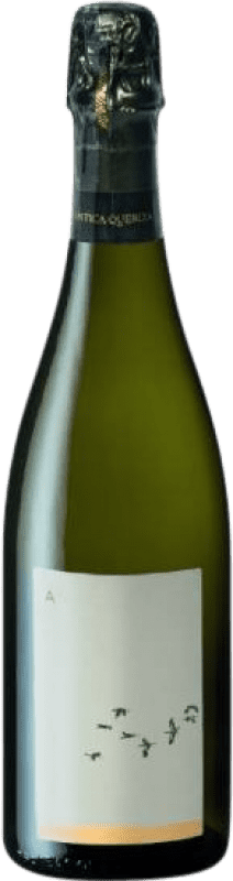 Envoi gratuit | Blanc mousseux L'Antica Quercia Superiore Ariò Brut Nature D.O.C.G. Prosecco di Conegliano-Valdobbiadene Vénétie Italie Glera 75 cl