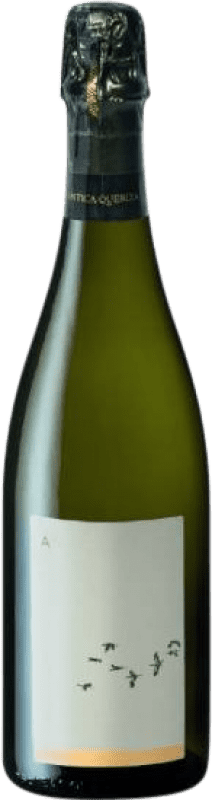 Free Shipping | White sparkling L'Antica Quercia Superiore Ariò Brut Nature D.O.C.G. Prosecco di Conegliano-Valdobbiadene Veneto Italy Glera Organic 75 cl