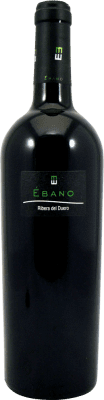 Ébano Esemplare da Collezione Crianza