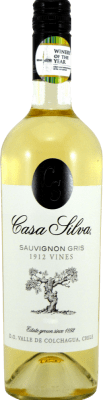Casa Silva