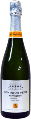 Dominio de la Vega Expression Brut