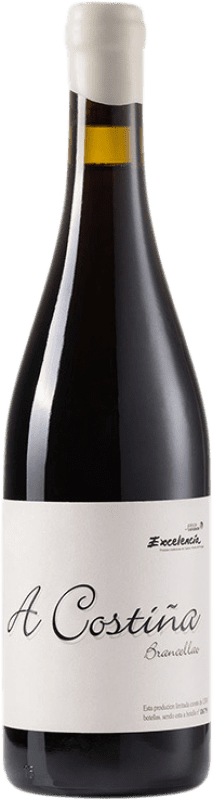 38,95 € | Красное вино Alan de Val A Costiña D.O. Valdeorras Галисия Испания Brancellao — Бранселлау 75 cl