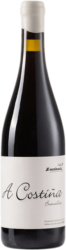 Free Shipping | Red wine Alan de Val A Costiña D.O. Valdeorras Galicia Spain Brancellao 75 cl