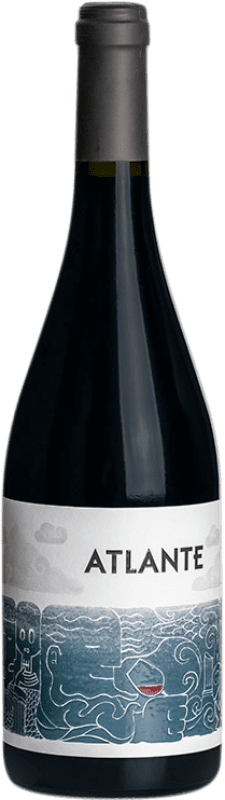 24,95 € 送料無料 | 赤ワイン Atlante D.O. Valle de la Orotava