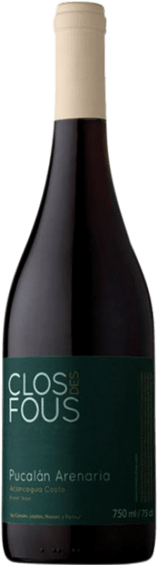 Kostenloser Versand | Rotwein Clos des Fous Pucalán Arenaria I.G. Valle del Aconcagua Aconcagua-Tal Chile Pinot Noir — Spätburgunder 75 cl