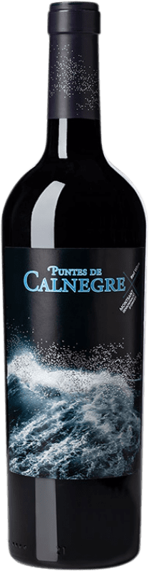 Envío gratis | Vino tinto Paco Mulero Puntes de Calnegre D.O. Montsant Cataluña España Syrah, Garnacha, Cariñena 75 cl