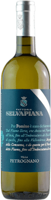 Selvapiana Villa Petrognano Bianco Pomino 75 cl