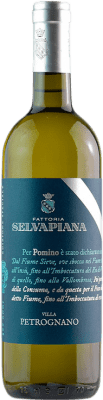 Selvapiana Villa Petrognano Bianco