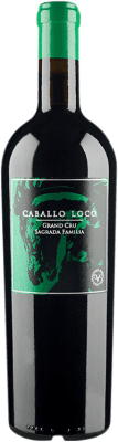 Valdivieso Caballo Loco Grand Cru