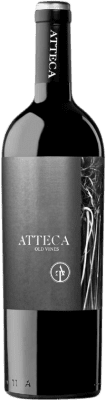 Ateca Old Vines