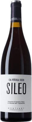 Vitícola Sileo Garnacha — Grenache Montsant 75 cl