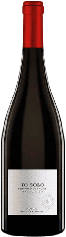 Envoi gratuit | Vin rouge Finca La Melonera Yo Solo D.O. Sierras de Málaga Andalousie Espagne Tintilla de Rota 75 cl