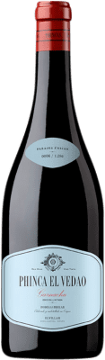 Bhilar Phinca El Vedao Grenache Rioja 75 cl