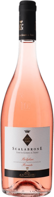 19,95 € | 玫瑰酒 Guado al Tasso Scalabrone 年轻的 D.O.C. Italy 托斯卡纳 意大利 Merlot, Syrah, Cabernet Sauvignon 75 cl