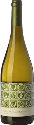 Raimat Ànima Costers del Segre Giovane 75 cl