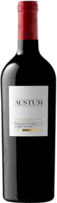 Tionio Austum Tempranillo Ribera del Duero бутылка Магнум 1,5 L