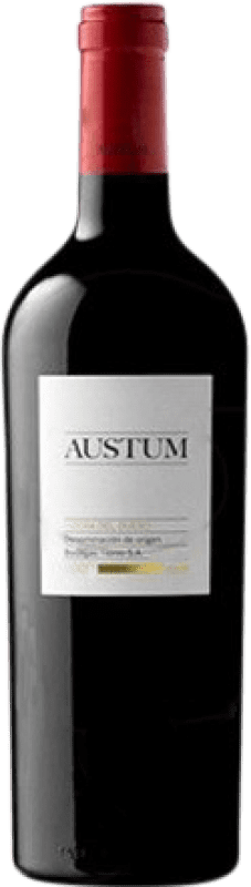 21,95 € | Red wine Tionio Austum D.O. Ribera del Duero Castilla y León Spain Tempranillo Magnum Bottle 1,5 L