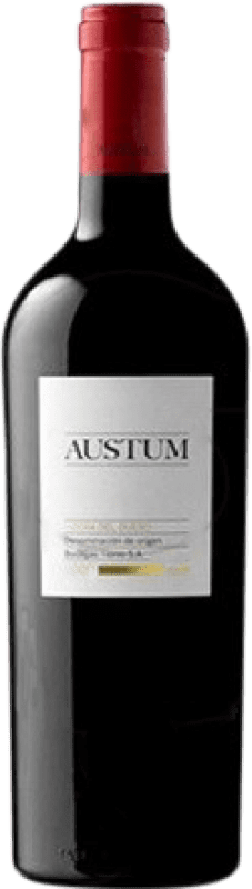 19,95 € Free Shipping | Red wine Tionio Austum D.O. Ribera del Duero Castilla y León Spain Tempranillo Magnum Bottle 1,5 L