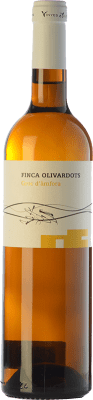 Olivardots Finca Ánfora — 双耳陶罐, Groc — 黄色 年轻的