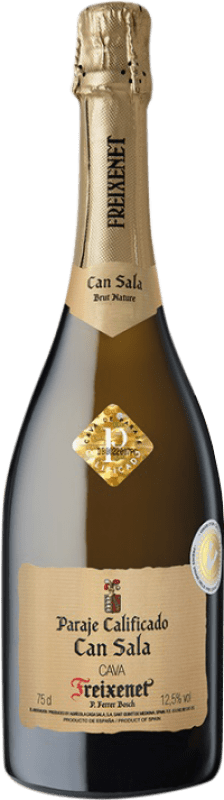 83,95 € Kostenloser Versand | Weißer Sekt Freixenet Casa Sala Brut Nature Vintage Große Reserve — Lange Reifung D.O. Cava