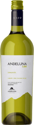 Andeluna 1300 Jung