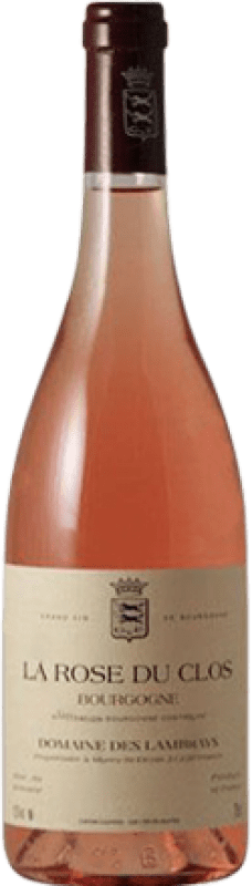 41,95 € | Rosé-Wein Clos des Lambrays La Rose Jung A.O.C. Bourgogne Frankreich Spätburgunder 75 cl