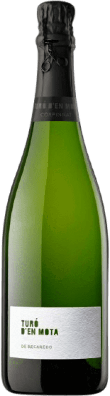 Envoi gratuit | Blanc mousseux Recaredo Turo d'en Mota Brut Nature Grande Réserve D.O. Cava Catalogne Espagne 75 cl